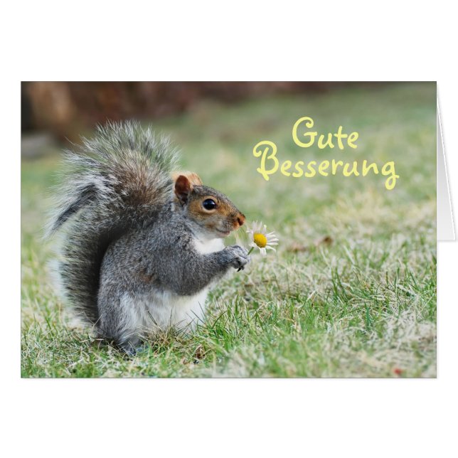 Tarjeta Gute Besserung Cute Squirrel (Anverso (Horizontal))