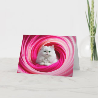 Tarjeta Gyre de gato persa blanco