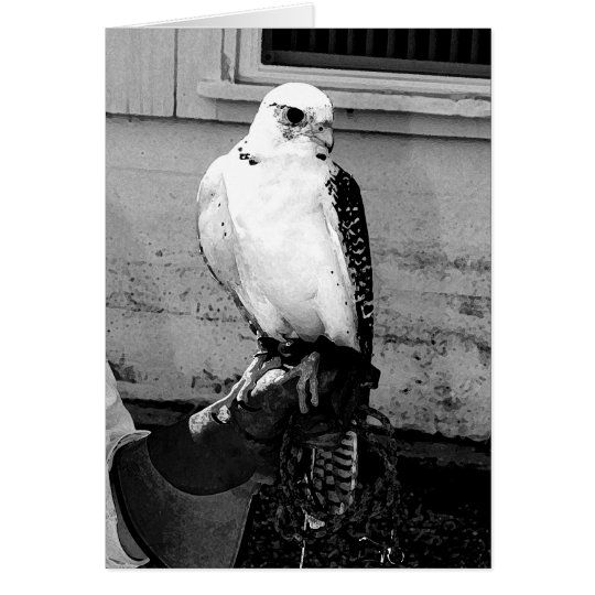 Tarjeta Gyrfalcon que descansa sobre el notecard del
