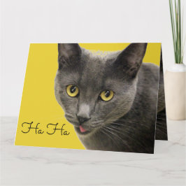 Tarjeta Ha Ha Old One Happy Birday