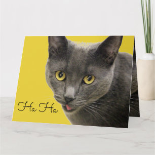 Tarjeta Ha Ha Old One Happy Birday