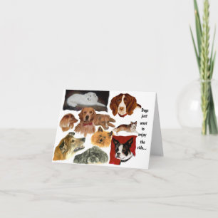 Tarjeta Hábitos divertidos de perros y gatos