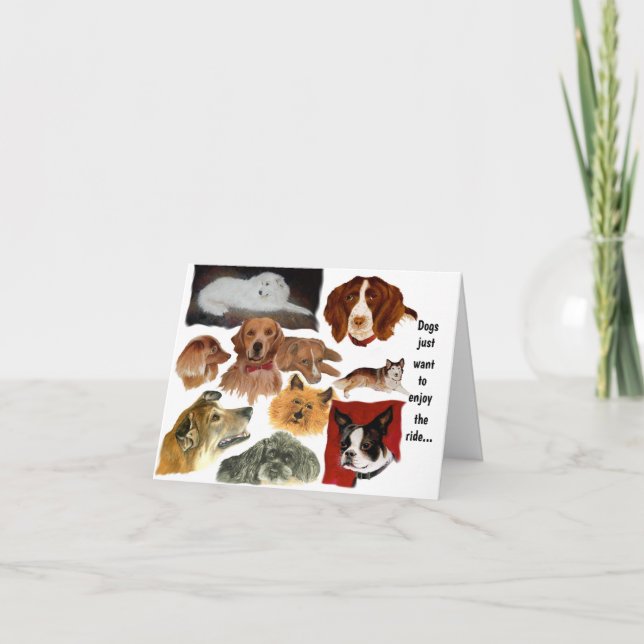 Tarjeta Hábitos divertidos de perros y gatos (Anverso)