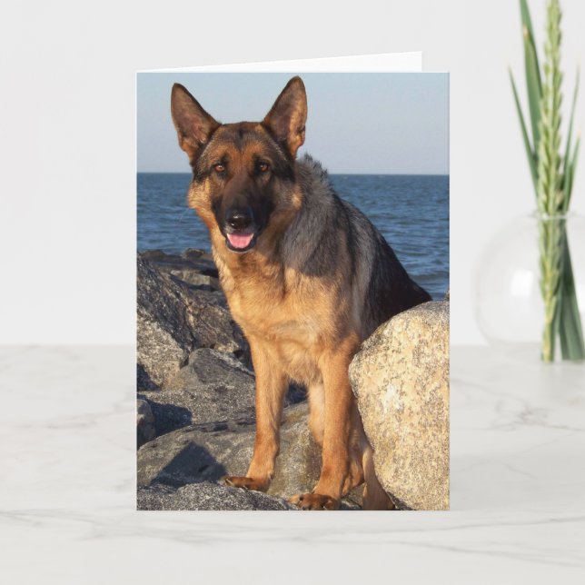 Tarjeta Hacer mi día (Anverso)