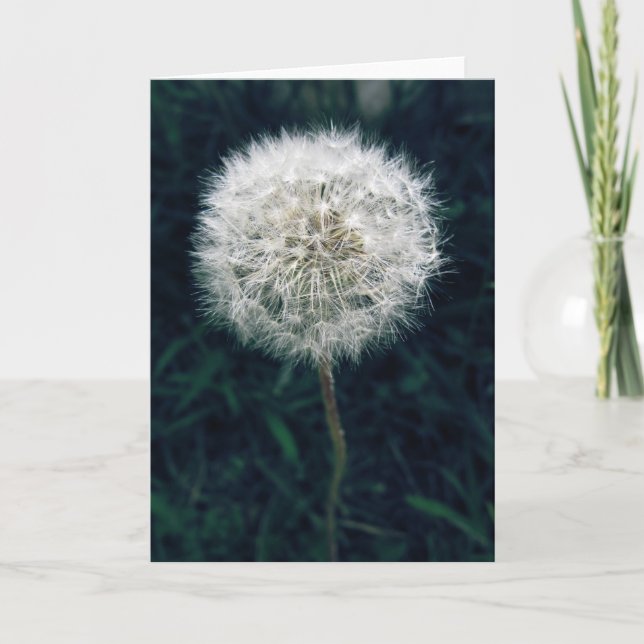 Tarjeta Hacer un deseo (Anverso)