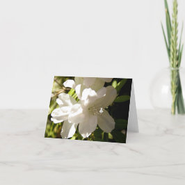 Tarjeta Hada de sombra de Azalia Blanca