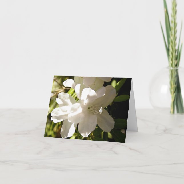 Tarjeta Hada de sombra de Azalia Blanca (Anverso)