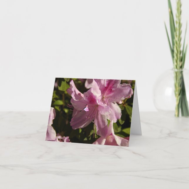 Tarjeta Hada Rosa Azalia Shadow (Anverso)