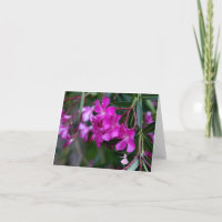Hada rosada de la sombra del Oleander