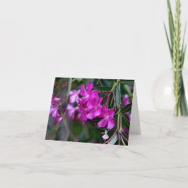 Tarjeta Hada rosada de la sombra del Oleander