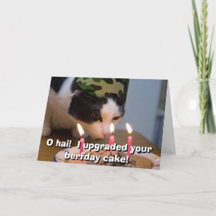 Tarjeta ¡Hai de O! Aumenté su torta berfday