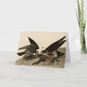 Tarjeta Halcón de gran pie de los pájaros de América de Au