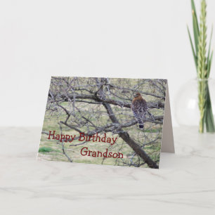 Tarjeta Halcón en árbol - personalizar en cualquier ocasió
