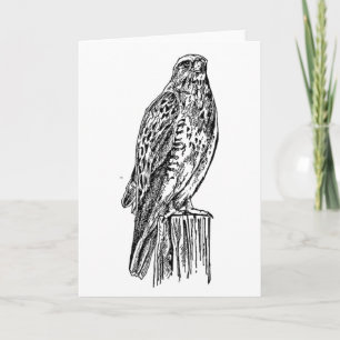 Tarjeta Halcón en blanco Notecard