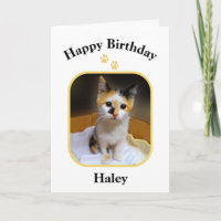 Haley Gatito Calico Feliz Cumpleaños