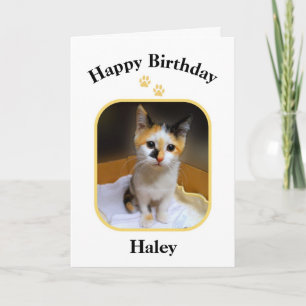 Tarjeta Haley Gatito Calico Feliz Cumpleaños