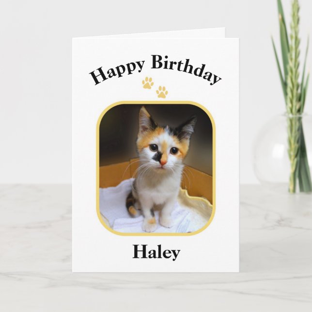 Tarjeta Haley Gatito Calico Feliz Cumpleaños (Anverso)
