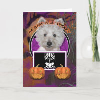Halloween - apenas un Lil fantasmagórico - Westie