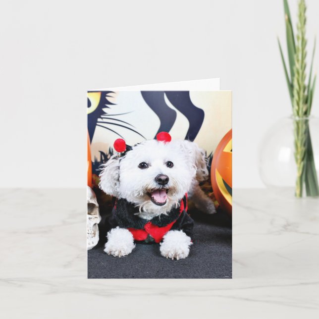 Tarjeta Halloween - Bichon Frise - Andi (Anverso)