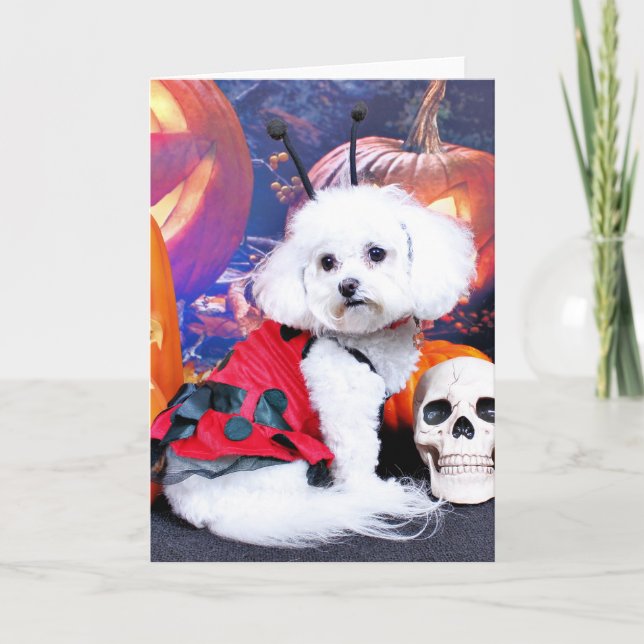 Tarjeta Halloween - Bichon Frise - Mia (Anverso)