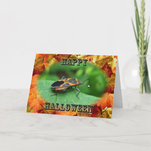 Tarjeta Halloween Box Elder Bug Card