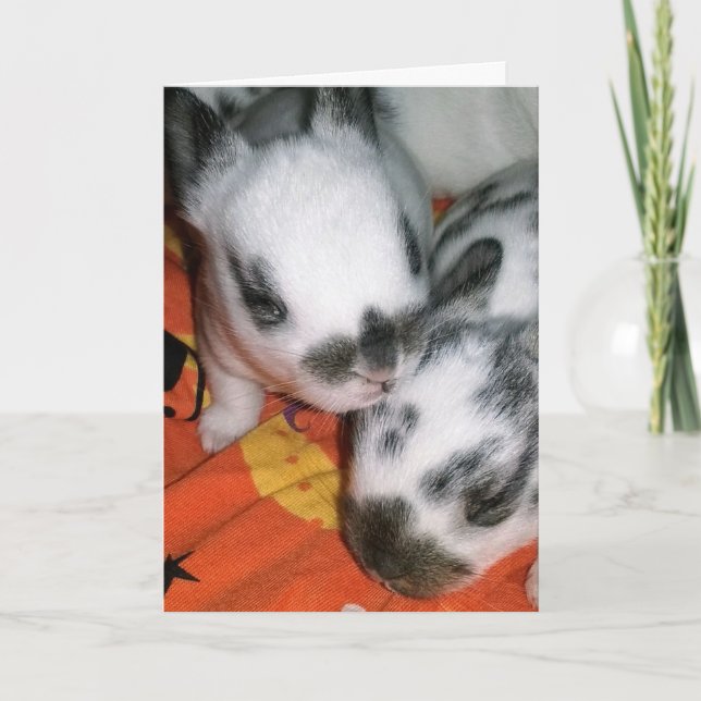 Tarjeta Halloween Bunnies (Anverso)