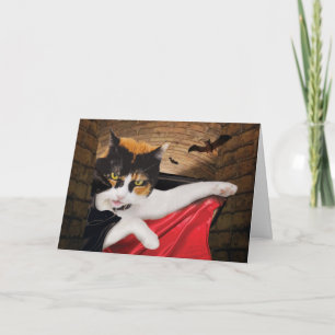 Tarjeta Halloween Cat Card Graciosa Cuidada Mejor Adorable