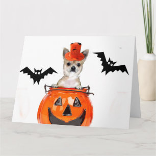 Tarjeta Halloween Chihuahua dog
