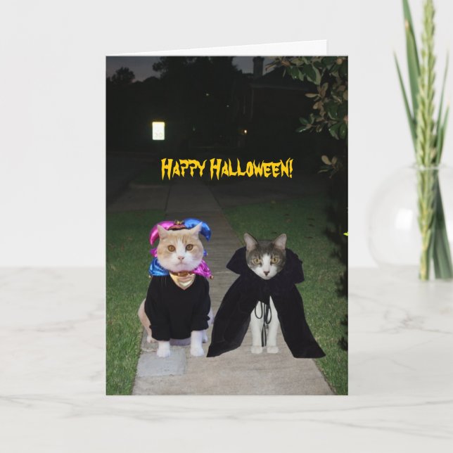Tarjeta Halloween de gatos divertidos (Anverso)