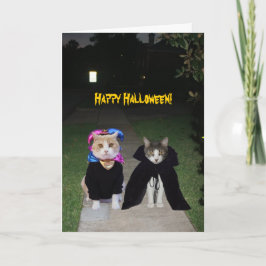 Tarjeta Halloween de gatos divertidos