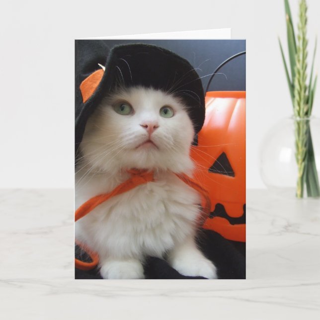 Tarjeta Halloween de un gato (Anverso)
