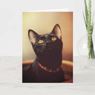 Tarjeta Halloween del gato negro