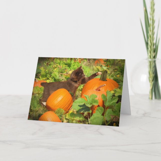 Tarjeta Halloween del Super Cute Kitten en la Calabaza (Anverso)