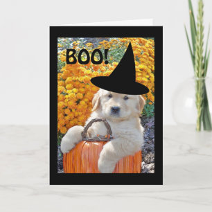 Tarjeta Halloween Funny Puppy Witch Greys Card