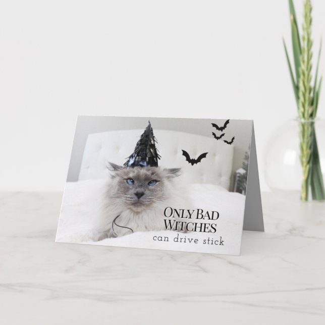 Tarjeta Halloween, Gorra de brujas de felino (Anverso)
