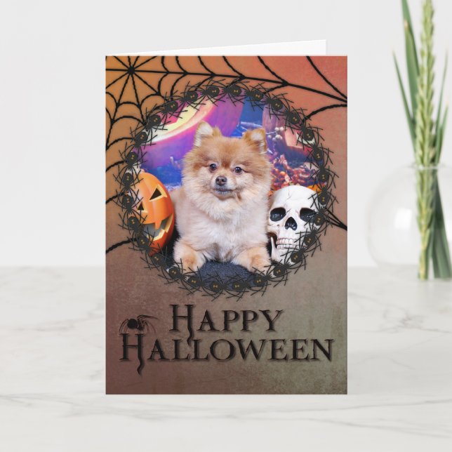Tarjeta Halloween - Pomeranian - Simba (Anverso)