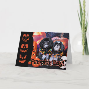 Tarjeta Halloween - Shih Tzu - Ruffles Riley