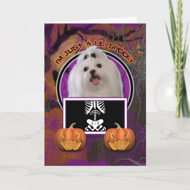 Tarjeta Halloween - Solo un Lil Spooki - Maltés (Anverso)