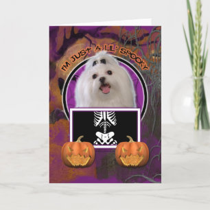 Tarjeta Halloween - Solo un Lil Spooki - Maltés