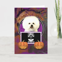 Halloween - Solo un Lil Spooky - Bichon Frise