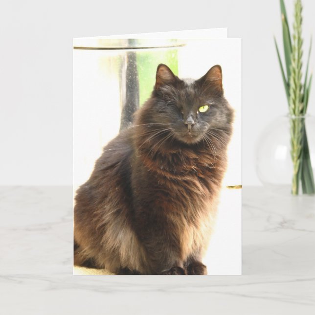 Tarjeta Halloween-Uno observó el gato negro (Anverso)