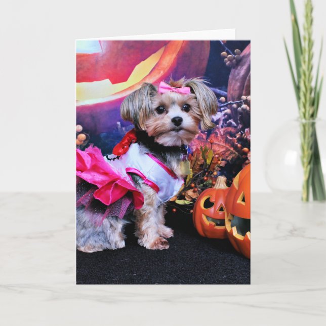 Tarjeta Halloween - Yorkie - Zoey (Anverso)
