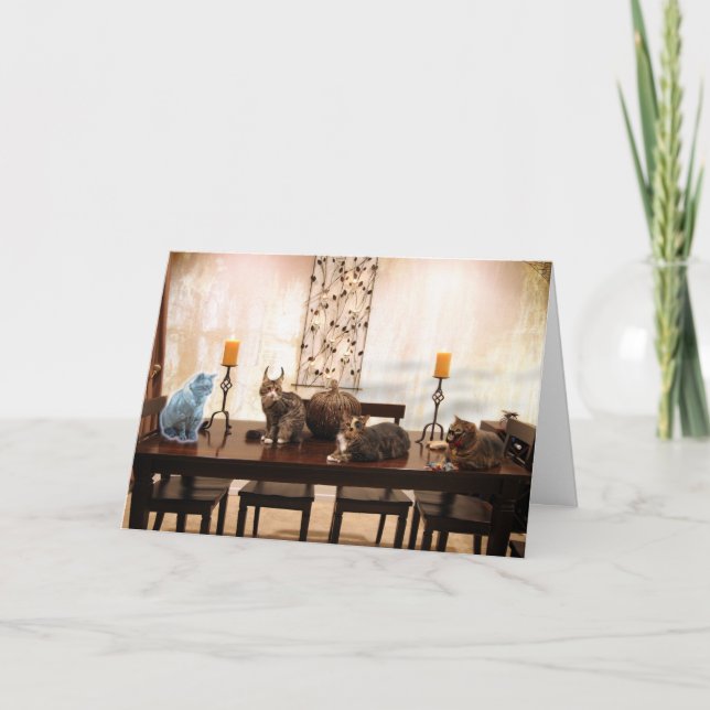 Tarjeta HalloweenCats (Anverso)