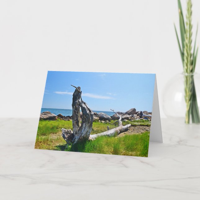 Tarjeta Hammonasset Notecard (Anverso)