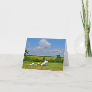 Tarjeta Hammonasset Notecard