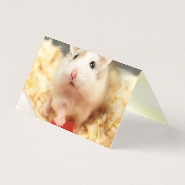 Tarjeta Hammyville - Cute Hamster (Anverso)