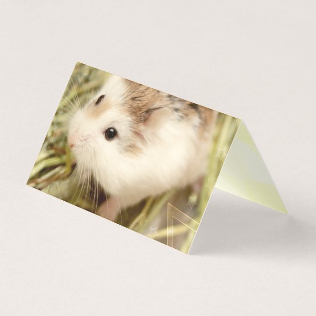 Tarjeta Hammyville - Cute Hamster (Anverso)
