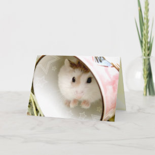 Tarjeta Hammyville - Cute Hamster
