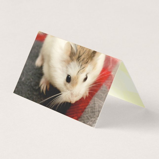 Tarjeta Hammyville - Cute Hamster (Anverso)
