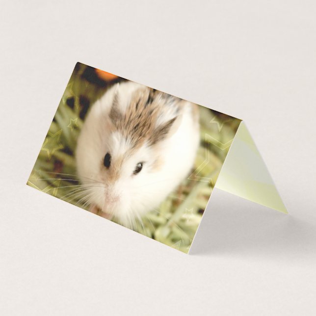 Tarjeta Hammyville - Cute Hamster (Anverso)